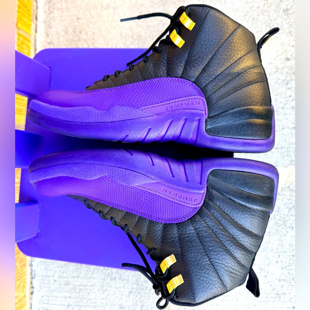 Jordan 12’s Purple